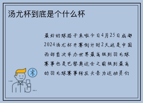 汤尤杯到底是个什么杯