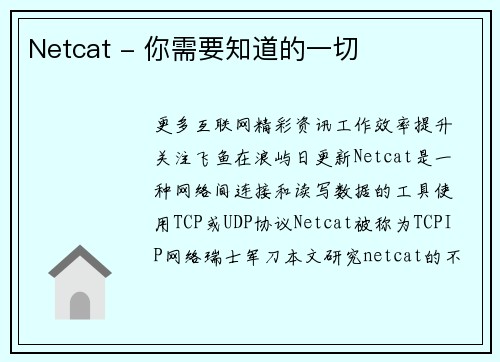 Netcat - 你需要知道的一切