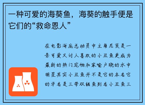 一种可爱的海葵鱼，海葵的触手便是它们的“救命恩人”