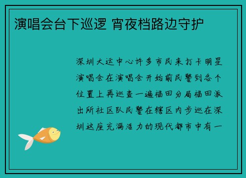 演唱会台下巡逻 宵夜档路边守护